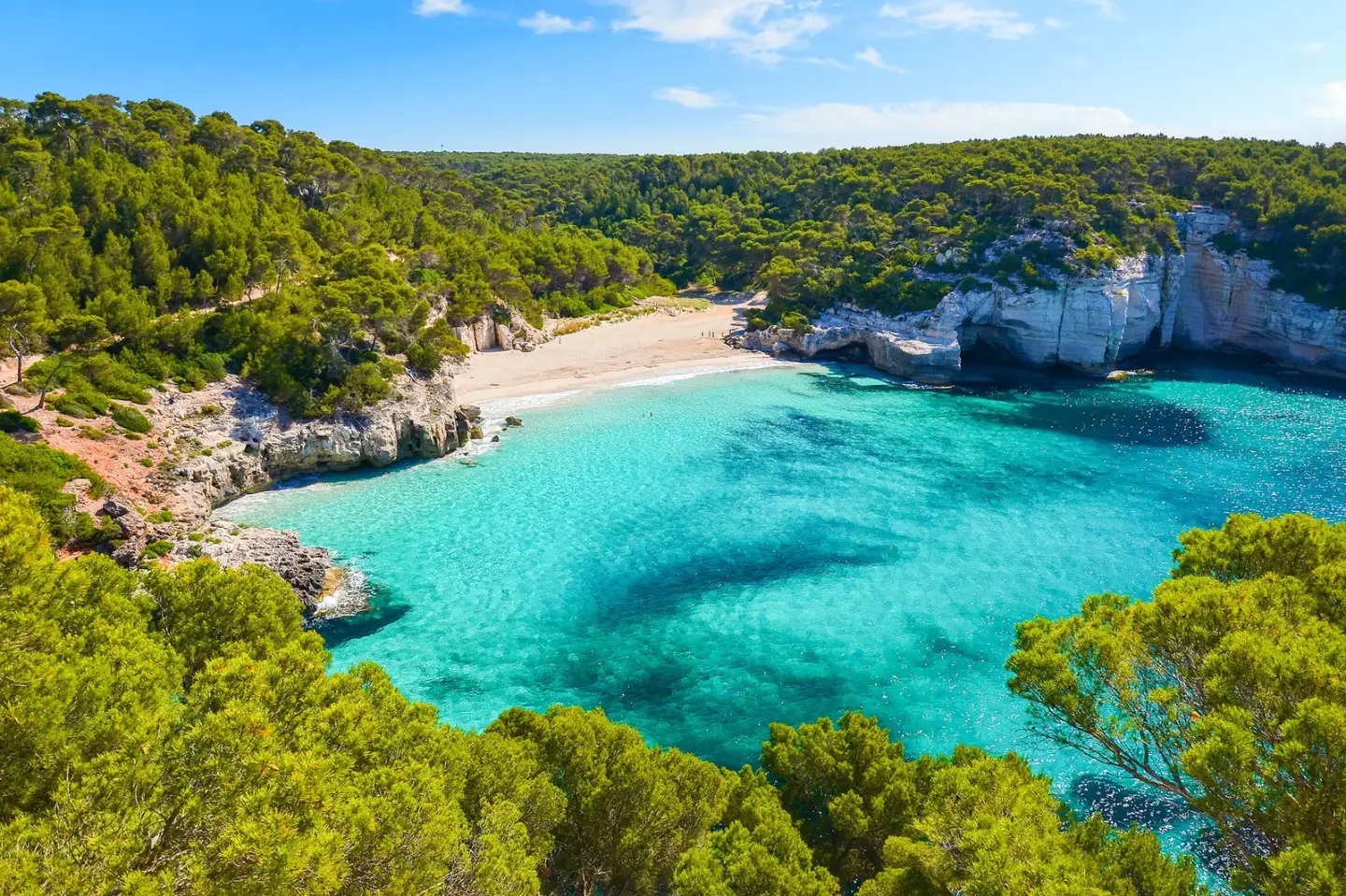 Turkusowa zatoka z piaszczystą plażą wśród sosnowego lasu