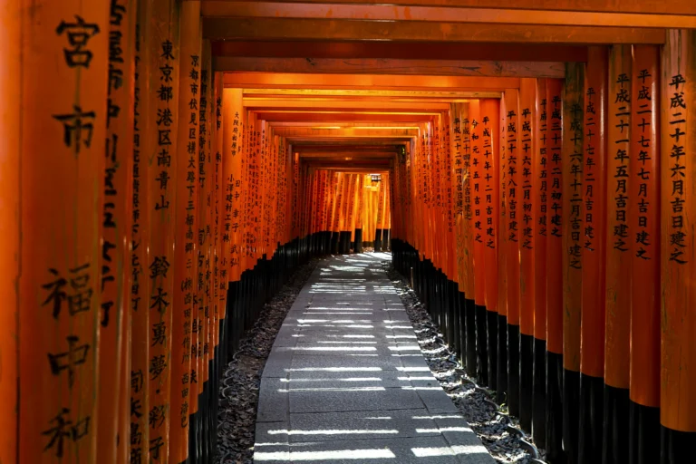 Tunel bram torii w Fushimi Inari w Kioto