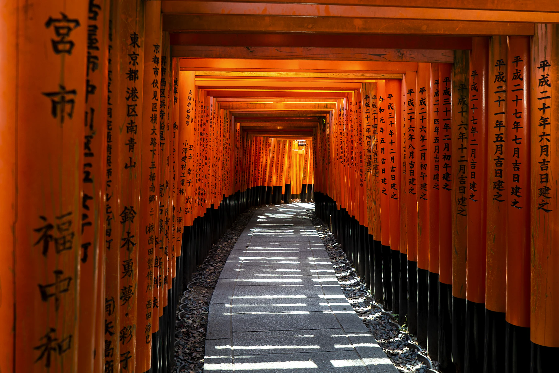 Tunel bram torii w Fushimi Inari w Kioto
